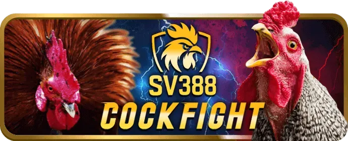Chính sách Cookie của tải 88xx26